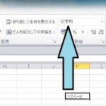 Excelの入力データを打ったそのままで表示させるには