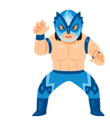 sports_pro_wrestler_mask-232x300