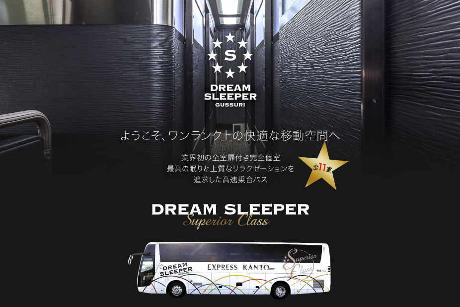 dream sleeper